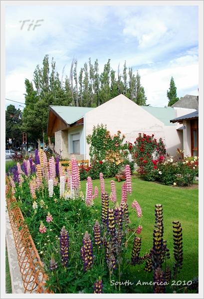 ElCalafate003.JPG