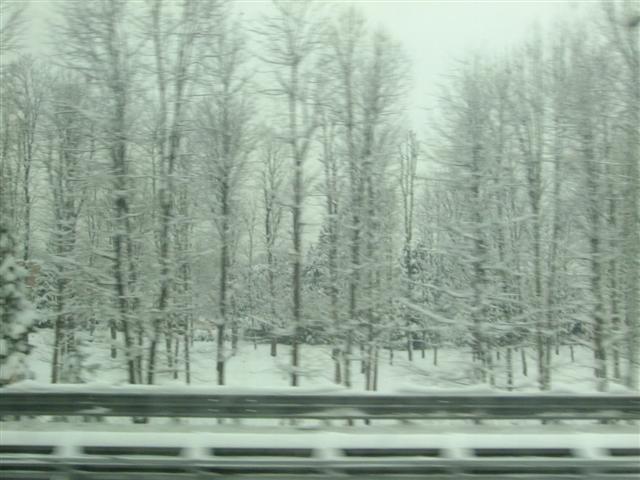 DSCF4436 (Small).JPG