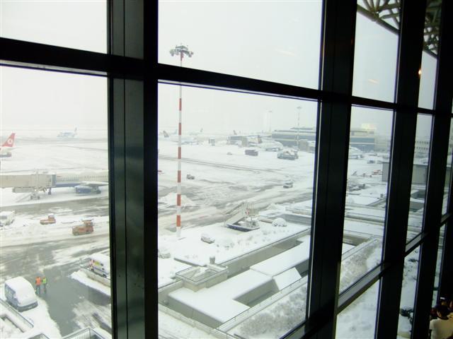 DSCF4480 (Small).JPG