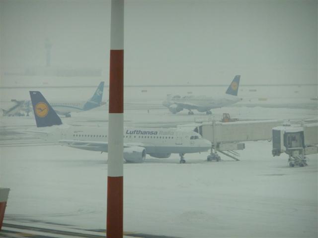 DSCF4481 (Small).JPG