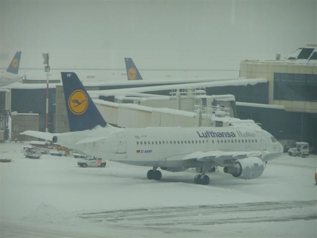 DSCF4485 (Small).JPG