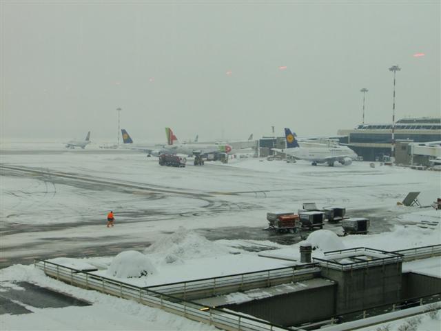 DSCF4497 (Small).JPG