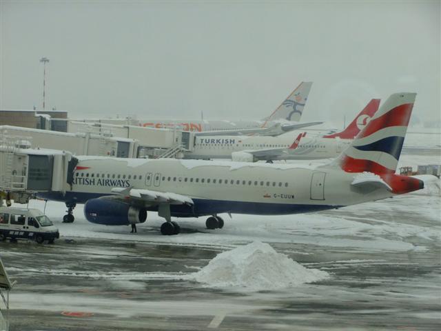 DSCF4501 (Small).JPG