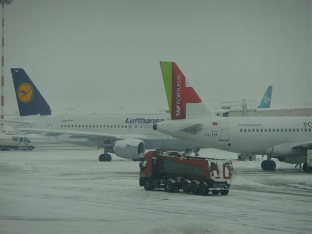 DSCF4502 (Small).JPG
