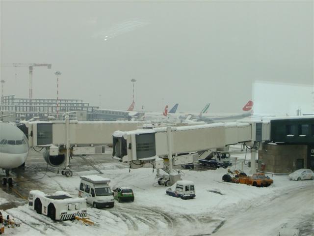 DSCF4511 (Small).JPG