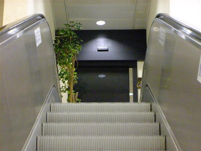 DSCF4517 (Small).JPG