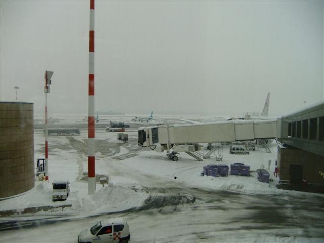 DSCF4526 (Small).JPG