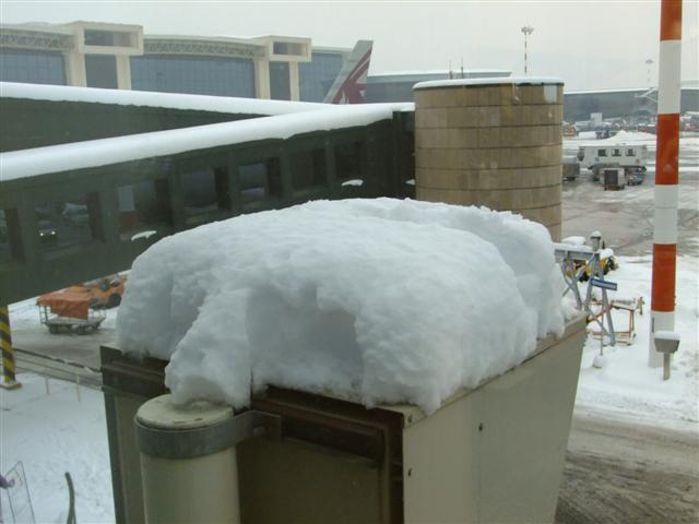 DSCF4540 (Small).JPG