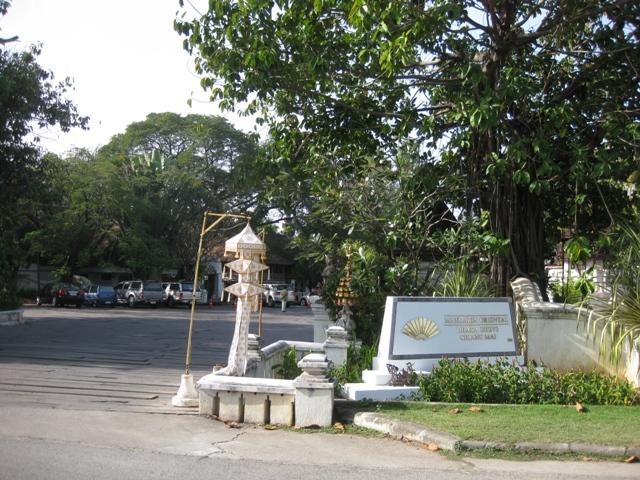 my pic 009.jpg