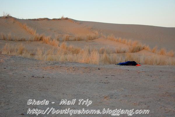 Picture 095-.jpg