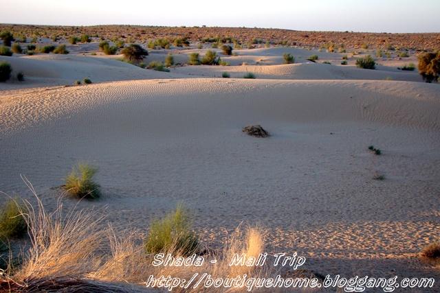 Mali4.jpg