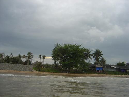 a87.jpg
