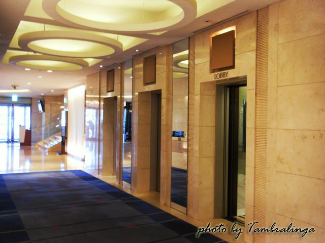 SDC12952.jpg