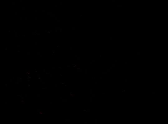 100_5600_resize.JPG