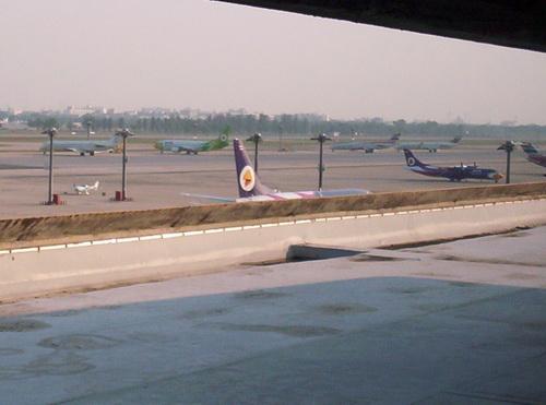 100_5806_resize.JPG