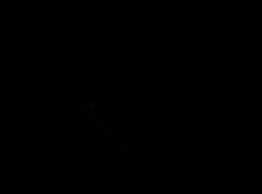 100_5594_resize.JPG