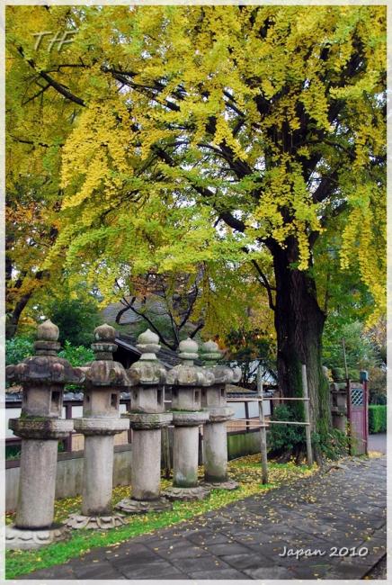 Japan006.JPG