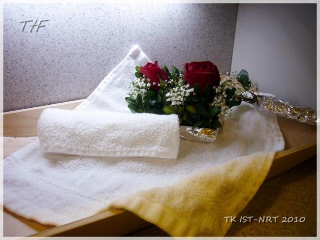 TK IST-NRT331.JPG