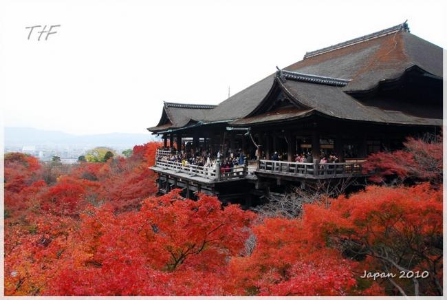 Japan012.JPG