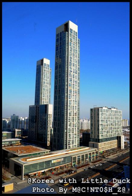 DSC_2690_resize.jpg