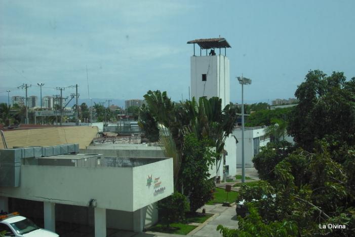 DSCF0269.JPG