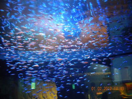 DSCN3528_resize.JPG