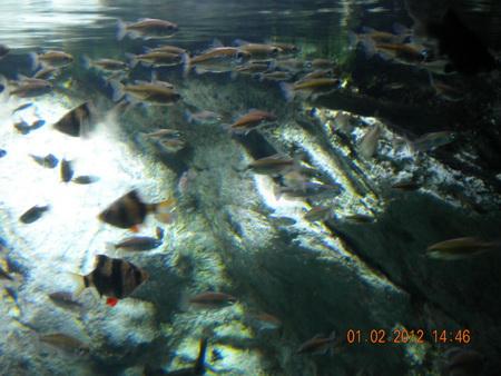 DSCN3539_resize.JPG