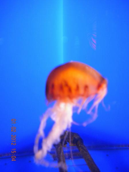 DSCN3600_resize.JPG