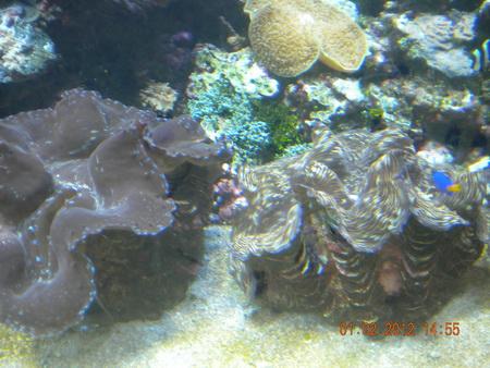 DSCN3572_resize.JPG