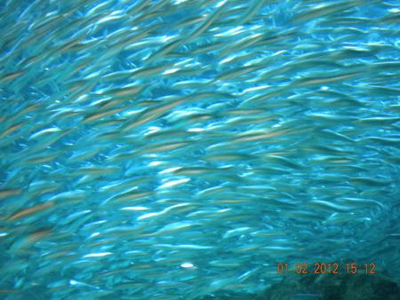 DSCN3618_resize.JPG
