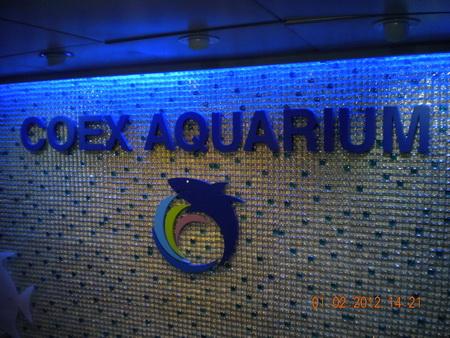 DSCN3473_resize.JPG