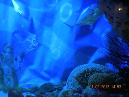 DSCN3561_resize.JPG