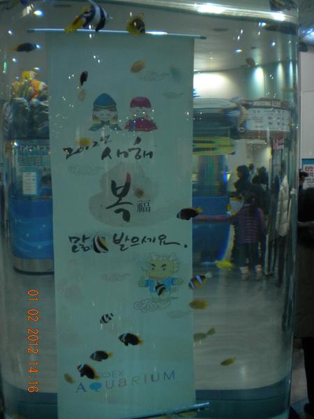 DSCN3470_resize.JPG