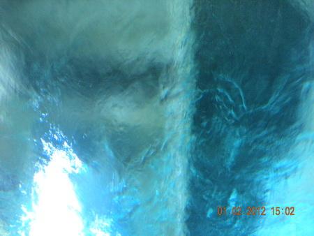 DSCN3593_resize.JPG
