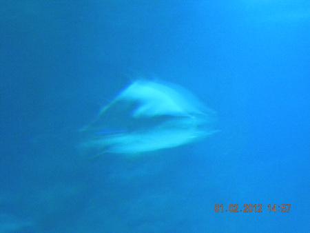 DSCN3577_resize.JPG
