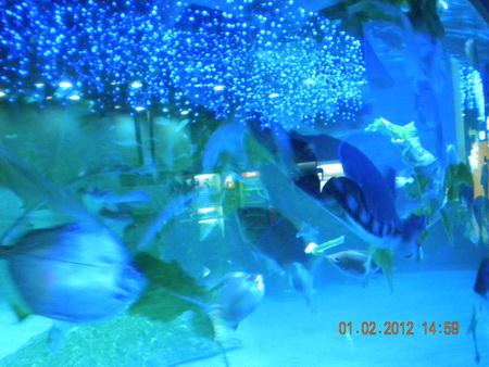 DSCN3585_resize.JPG