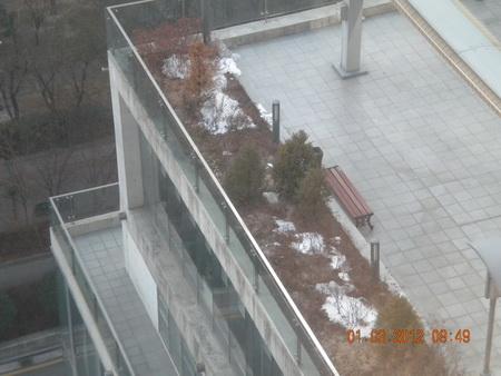 DSCN3648_resize.JPG
