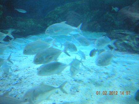 DSCN3554_resize.JPG