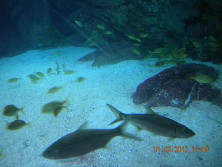 DSCN3549_resize.JPG