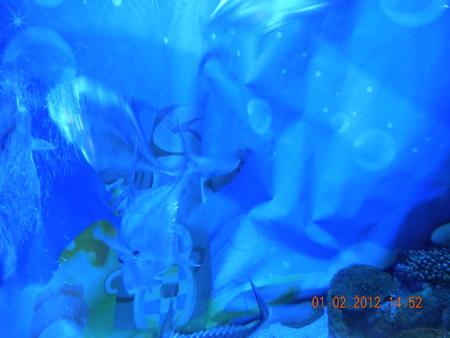 DSCN3559_resize.JPG