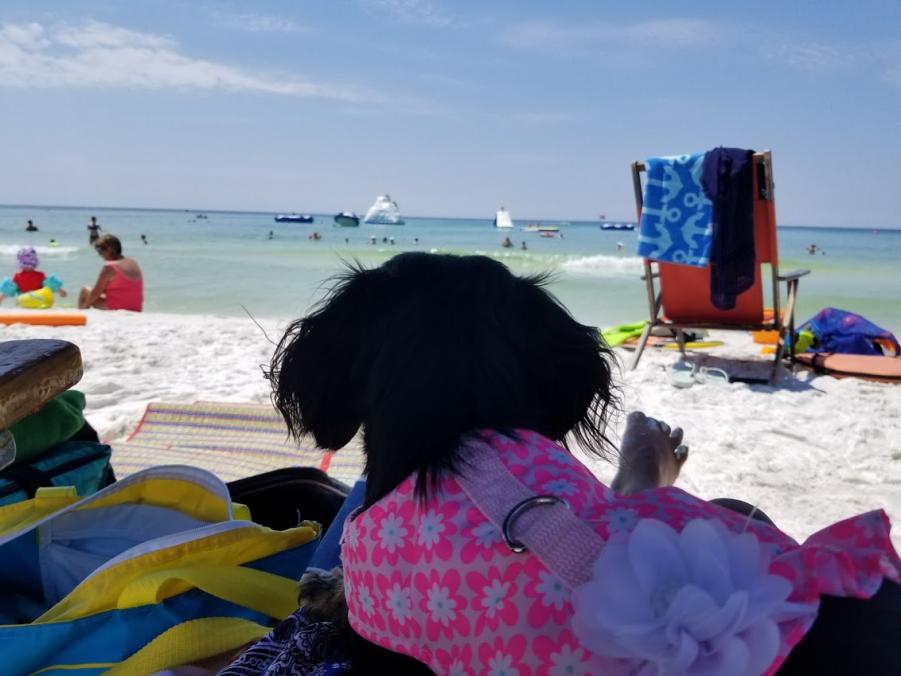 20170730_115244.jpg