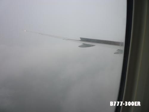 889059.jpg
