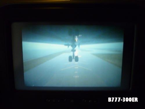 889061.jpg