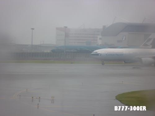 889078.jpg