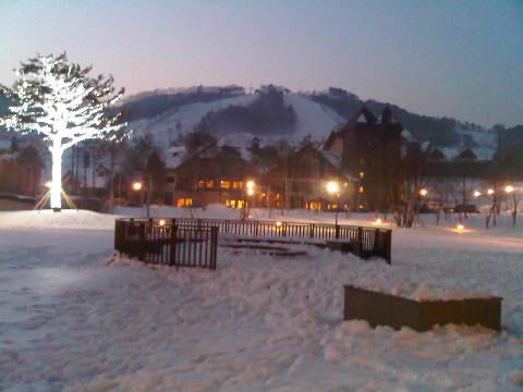 IMG00147-20100221-0446.jpg