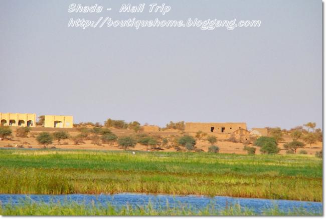niger-.jpg