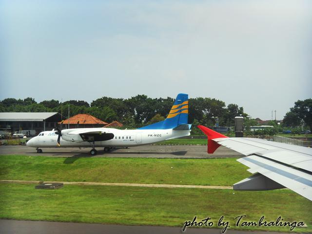 SDC14687.jpg