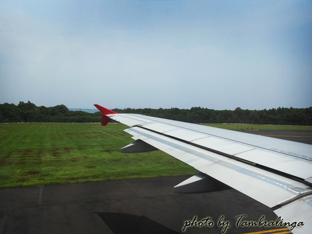 SDC14699.jpg