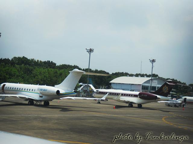 SDC14684.jpg