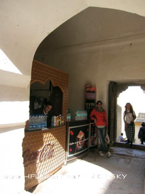IMG_6356_resize.jpg